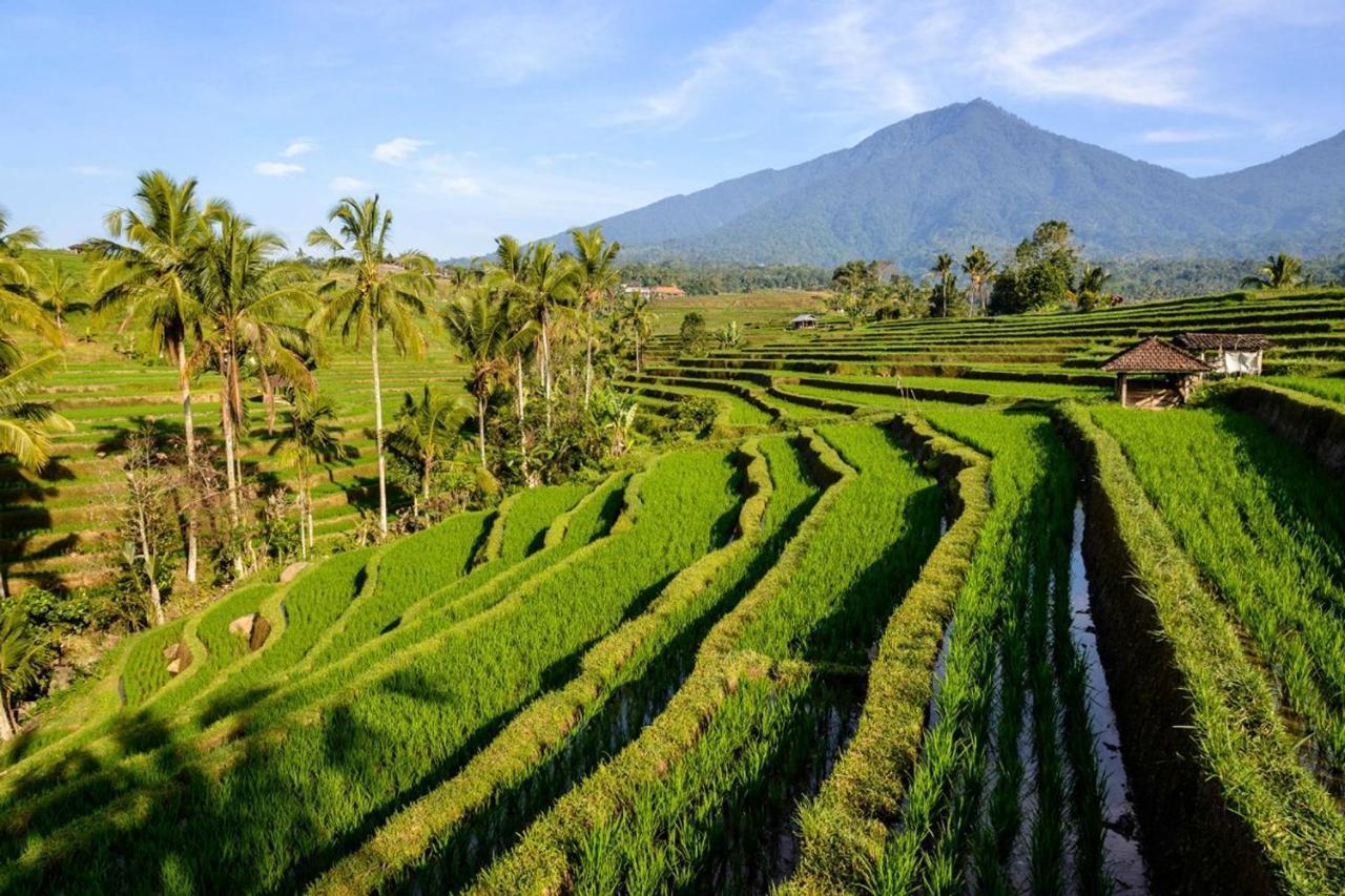 Kts - Kubu Tepi Sawah Vila Selemadeg Exterior foto